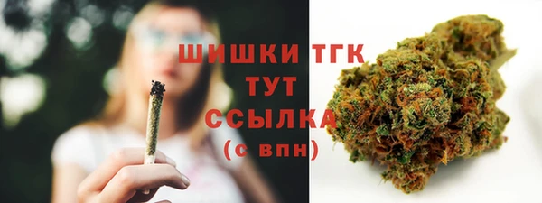 тгк Абаза