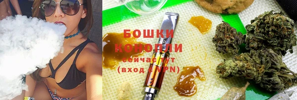 тгк Абаза